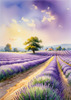 Serene Lavender Field Swaying in Breeze with Pastel Sky Landscape Print