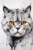 Abstract Sketch of British Shorthair's Face with Round Eyes