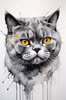Abstract Sketch of British Shorthair's Face with Round Eyes