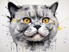 Abstract Sketch of British Shorthair's Face with Round Eyes