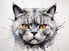 Abstract Sketch of British Shorthair's Face with Round Eyes