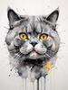 Abstract Sketch of British Shorthair's Face with Round Eyes