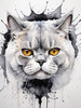 Abstract Sketch of British Shorthair's Face with Round Eyes