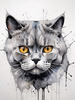 Abstract Sketch of British Shorthair's Face with Round Eyes