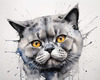Abstract Sketch of British Shorthair's Face with Round Eyes