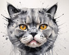 Abstract Sketch of British Shorthair's Face with Round Eyes