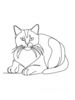Minimalist Line Art of British Shorthair Cat Lying Down Looking Up