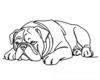 Minimalist Line Drawing of a Relaxed Bulldog Sprawled Out