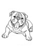 Minimalist Line Drawing of a Relaxed Bulldog Sprawled Out