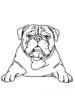Minimalist Line Drawing of a Relaxed Bulldog Sprawled Out
