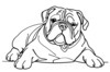 Minimalist Line Drawing of a Relaxed Bulldog Sprawled Out