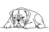 Minimalist Line Drawing of a Relaxed Bulldog Sprawled Out