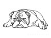Minimalist Line Drawing of a Relaxed Bulldog Sprawled Out