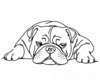 Minimalist Line Drawing of a Relaxed Bulldog Sprawled Out