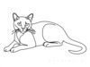 Minimalist Line Art of a Relaxed Burmese Cat