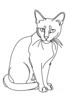 Minimalist Line Art of a Relaxed Burmese Cat