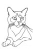 Minimalist Line Art of a Relaxed Burmese Cat