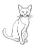 Minimalist Line Art of a Relaxed Burmese Cat