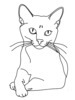 Minimalist Line Art of a Relaxed Burmese Cat