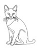 Minimalist Line Art of a Relaxed Burmese Cat