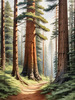 Realistic Cedar Forest with Pine Needle Carpet Art Print
