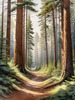 Realistic Cedar Forest with Pine Needle Carpet Art Print