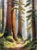 Realistic Cedar Forest with Pine Needle Carpet Art Print