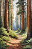 Realistic Cedar Forest with Pine Needle Carpet Art Print
