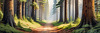 Realistic Cedar Forest with Pine Needle Carpet Art Print