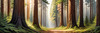 Realistic Cedar Forest with Pine Needle Carpet Art Print