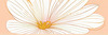 Minimalist Line Art of Chrysanthemum's Layered Petal Heart