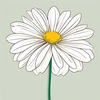 Minimalist Line Art of Chrysanthemum's Layered Petal Heart