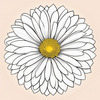 Minimalist Line Art of Chrysanthemum's Layered Petal Heart