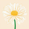 Minimalist Line Art of Chrysanthemum's Layered Petal Heart