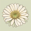 Minimalist Line Art of Chrysanthemum's Layered Petal Heart