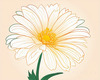 Minimalist Line Art of Chrysanthemum's Layered Petal Heart