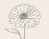 Minimalist Line Art of Chrysanthemum's Layered Petal Heart