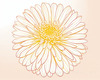 Minimalist Line Art of Chrysanthemum's Layered Petal Heart
