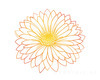 Minimalist Line Art of Chrysanthemum's Layered Petal Heart
