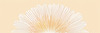 Minimalist Line Art of Chrysanthemum's Layered Petal Heart