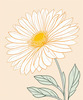 Minimalist Line Art of Chrysanthemum's Layered Petal Heart