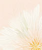 Minimalist Line Art of Chrysanthemum's Layered Petal Heart