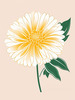 Minimalist Line Art of Chrysanthemum's Layered Petal Heart