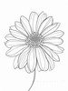 Minimalist Line Art of Chrysanthemum's Layered Petal Heart
