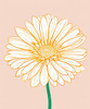 Minimalist Line Art of Chrysanthemum's Layered Petal Heart