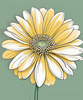 Minimalist Line Art of Chrysanthemum's Layered Petal Heart
