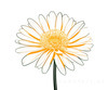 Minimalist Line Art of Chrysanthemum's Layered Petal Heart