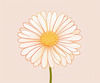 Minimalist Line Art of Chrysanthemum's Layered Petal Heart