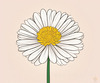 Minimalist Line Art of Chrysanthemum's Layered Petal Heart