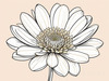 Minimalist Line Art of Chrysanthemum's Layered Petal Heart